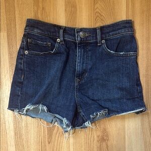 Express Dark Blue Jean Shorts
